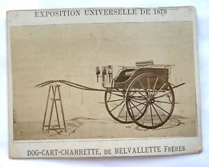 Tracce di storia nel dialetto #3
